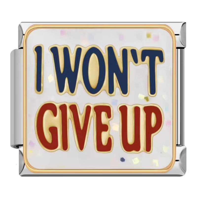 I Won't Give Up